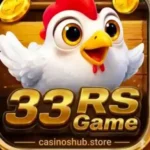 33RS Game