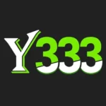 Y333 Game